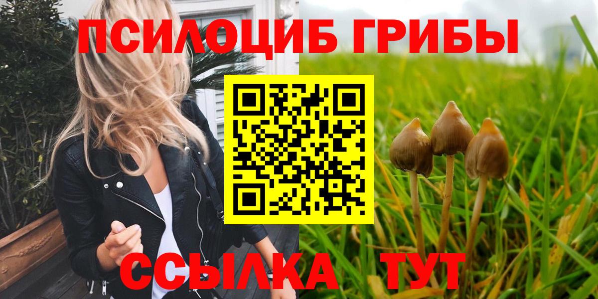 Псилоцибиновые грибы Cubensis  Вход с VPN  Галлюциногенные грибы Magic Shrooms  Усть-Джегута 