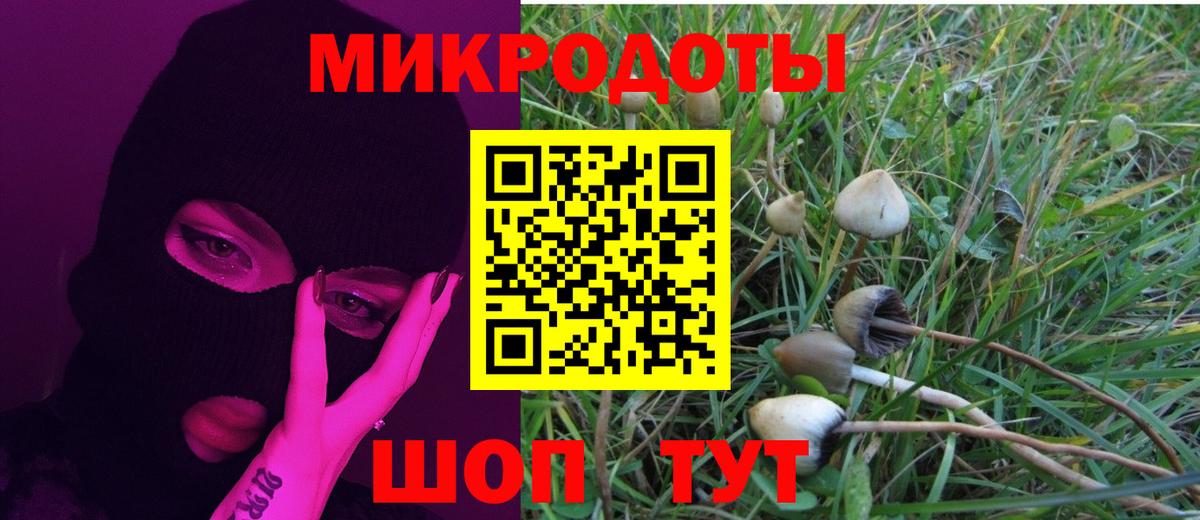 Псилоцибиновые грибы GOLDEN TEACHER Усть-Джегута