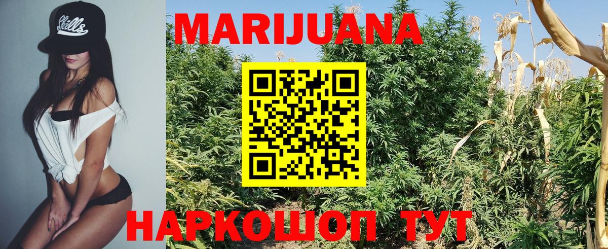 Бошки Шишки ГИДРОПОН  Бошки марихуана план  Марихуана White Widow  Вход с VPN  Усть-Джегута 